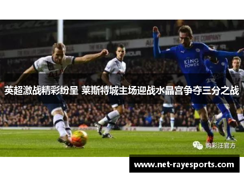英超激战精彩纷呈 莱斯特城主场迎战水晶宫争夺三分之战 英超激战精彩纷呈 莱斯特城主场迎战水晶宫争夺三分之战