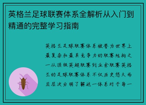 英格兰足球联赛体系全解析从入门到精通的完整学习指南
